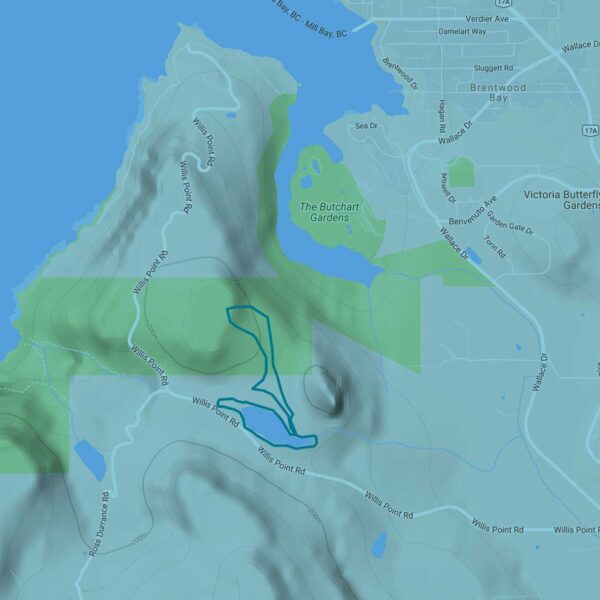 Bird's eye view of the XTERRA Trail Run, Vancouver Island.