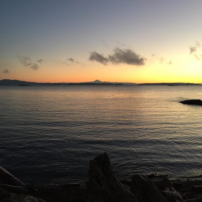 A sunrise over the ocean taken from the beach. There are silhouettes of driftwood in the foreground, and the sunrise in the background is just starting so there is orange on the horizon and then a white strip before the sky transitions to a grey blue higher up.