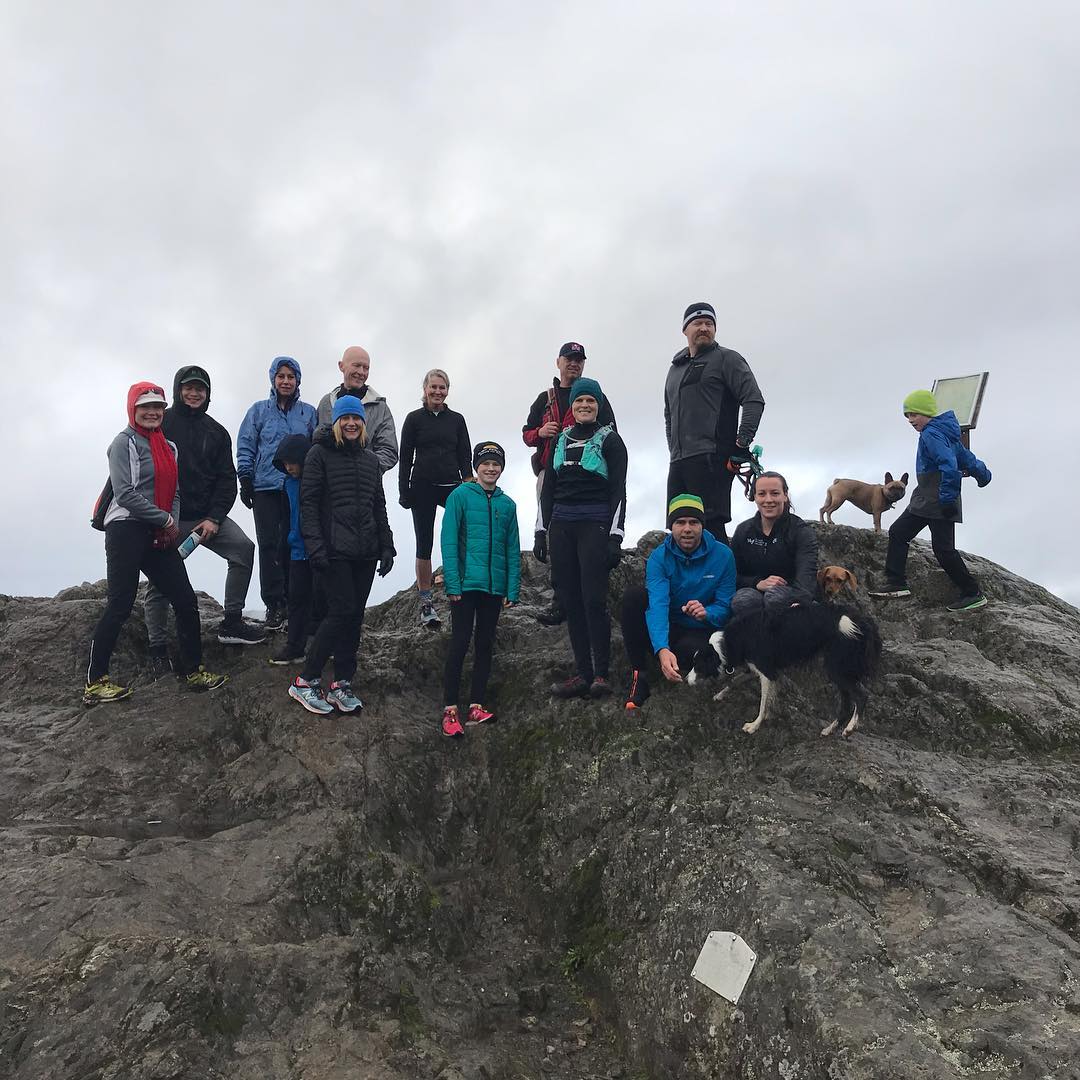 This is a photo of a group of people and dogs at the peak of a mountain with trees and a foggy landscape behind them.