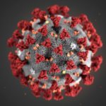 Image of the Covid 19 virus