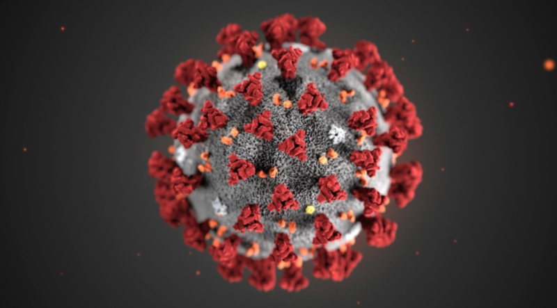 Image of the Covid 19 virus
