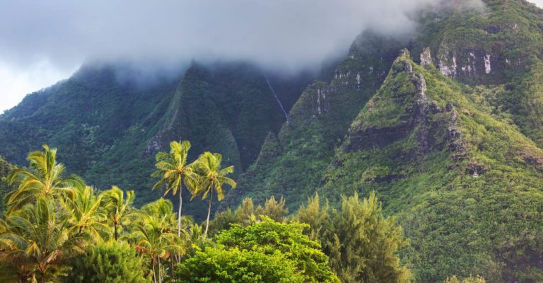 The rain clouds of the Big Island of Hawaii shroud the mountains and forests.
