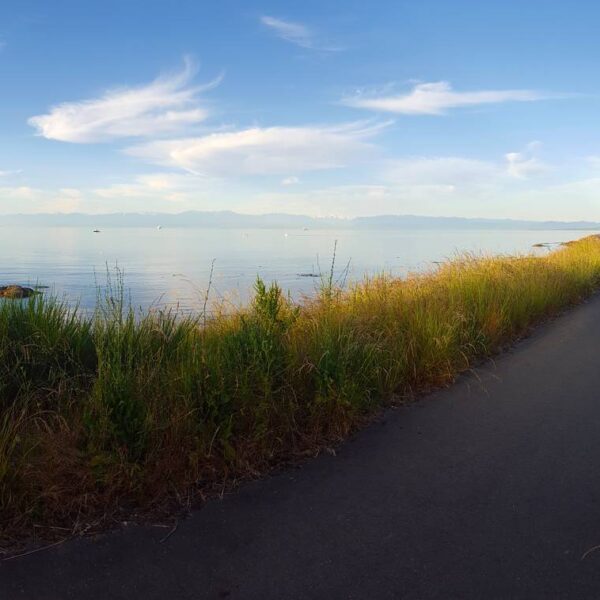 Views of the Salish Sea during the 2017 Triathlon of Compassion.
