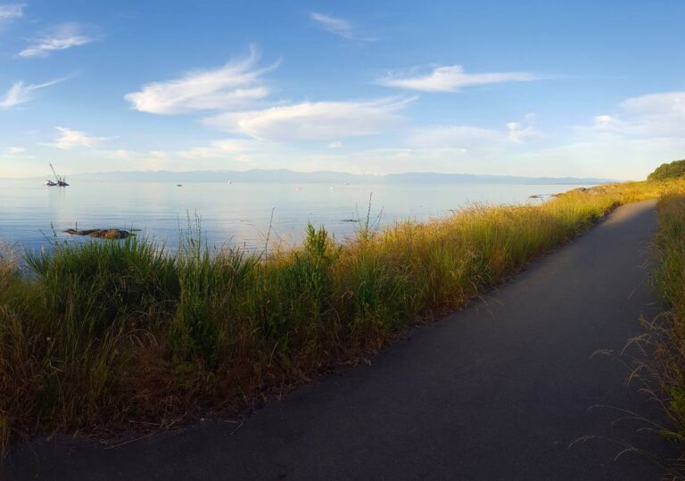 Views of the Salish Sea during the 2017 Triathlon of Compassion.
