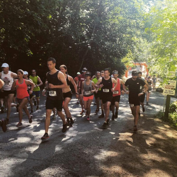 Runners in a pack leaving the start line at the XTERRA Victoria Trail Run.