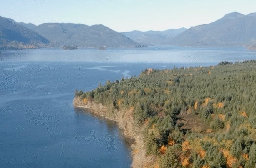 Aerial view of Cowichan Lake and the mountains around it.